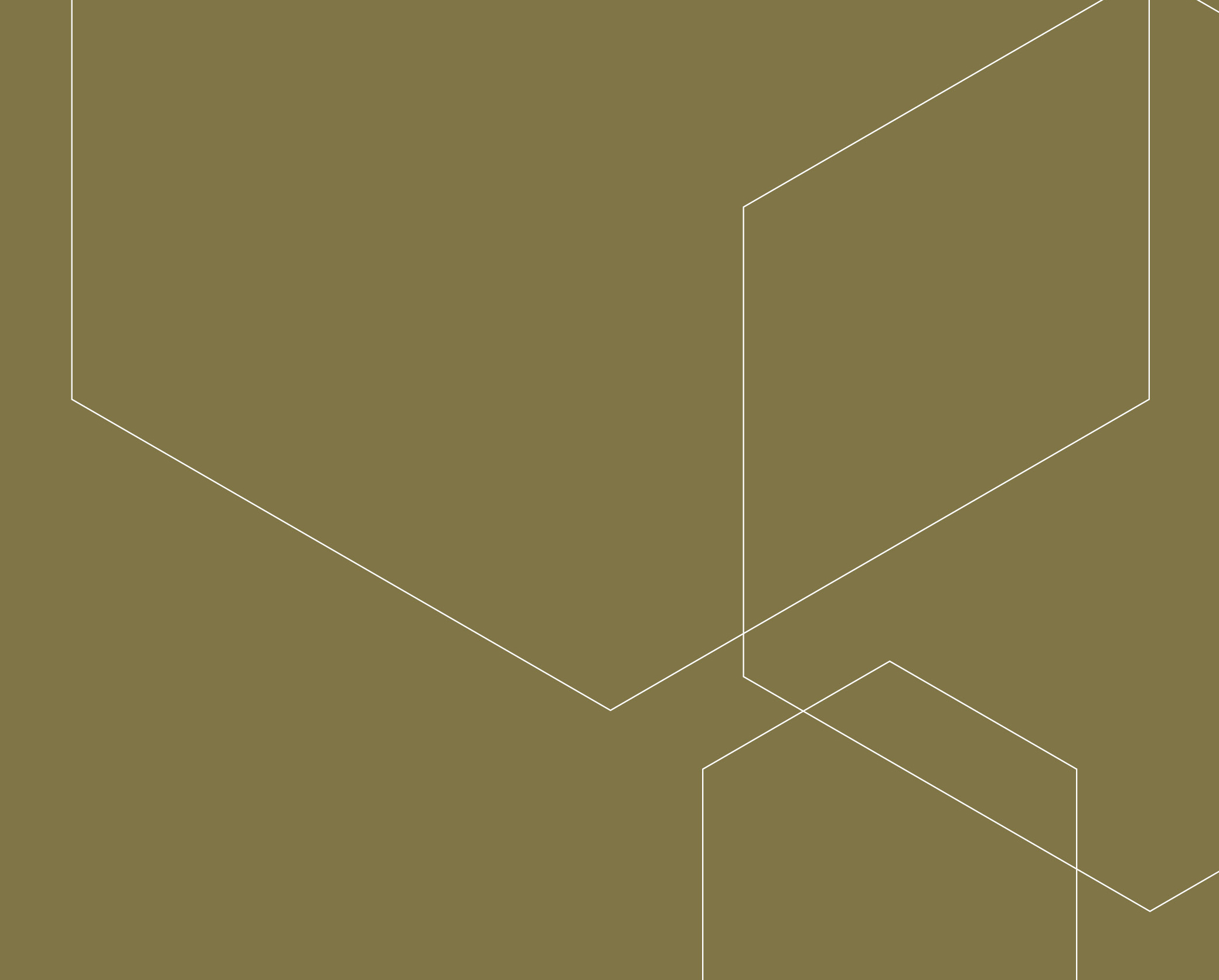 Scandinavian Executive Institute