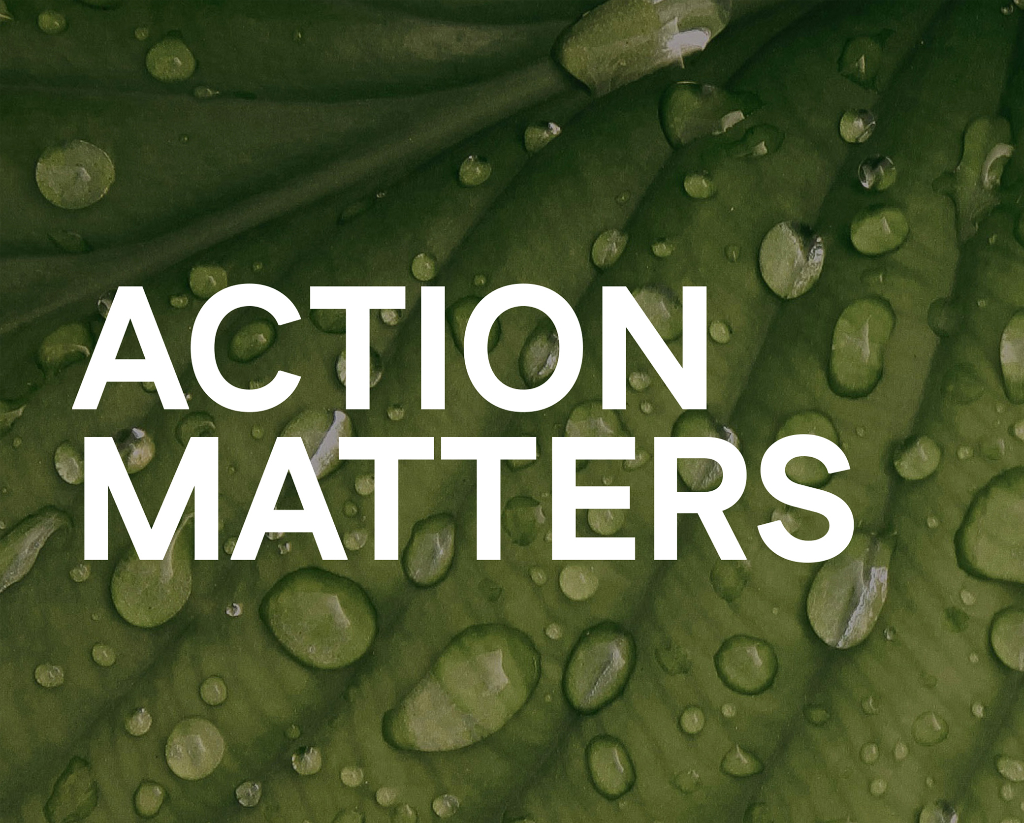 Matters Group/Mutag/Lynddahl